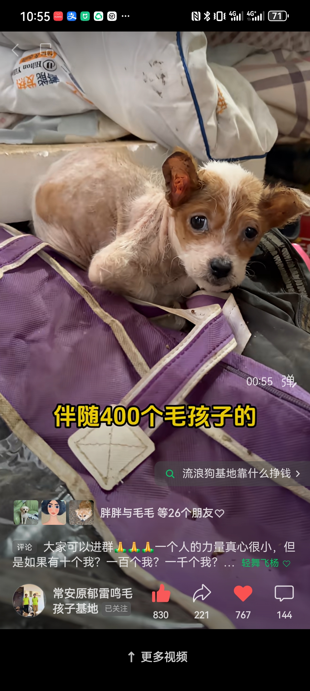 常安基地的毛毛