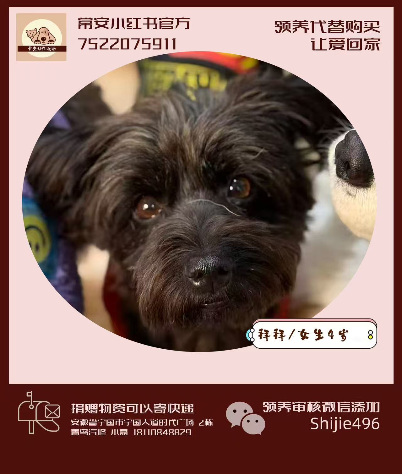 常安基地的拜拜