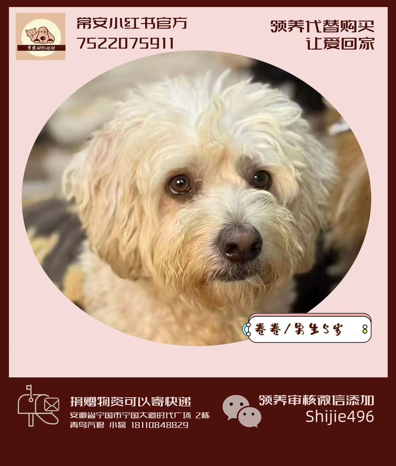 常安基地的卷卷