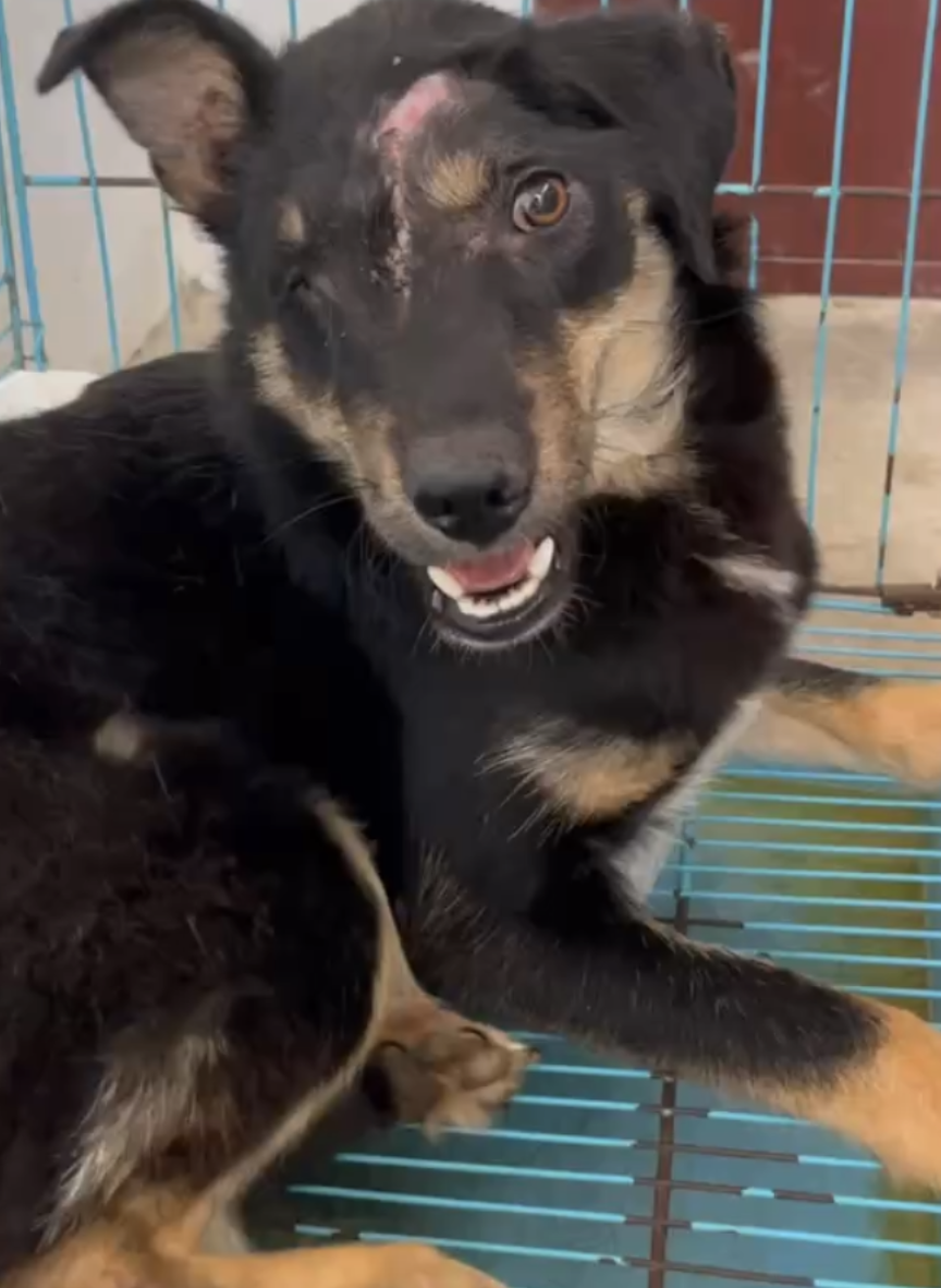 常安基地的厚福